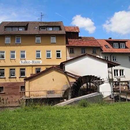 175 Qm Schwanennest, In Der Romantischen Roedermuehle An Der Fraenkischen Saale In Deutschlands Mitte, 8 Km Zur A7 * Hammelburg