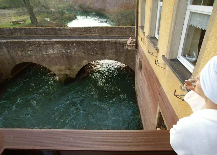 Appartement 175 Qm Schwanennest, In Der Romantischen Roedermuehle An Der Fraenkischen Saale In Deutschlands Mitte, 8 Km Zur A7 Hammelburg